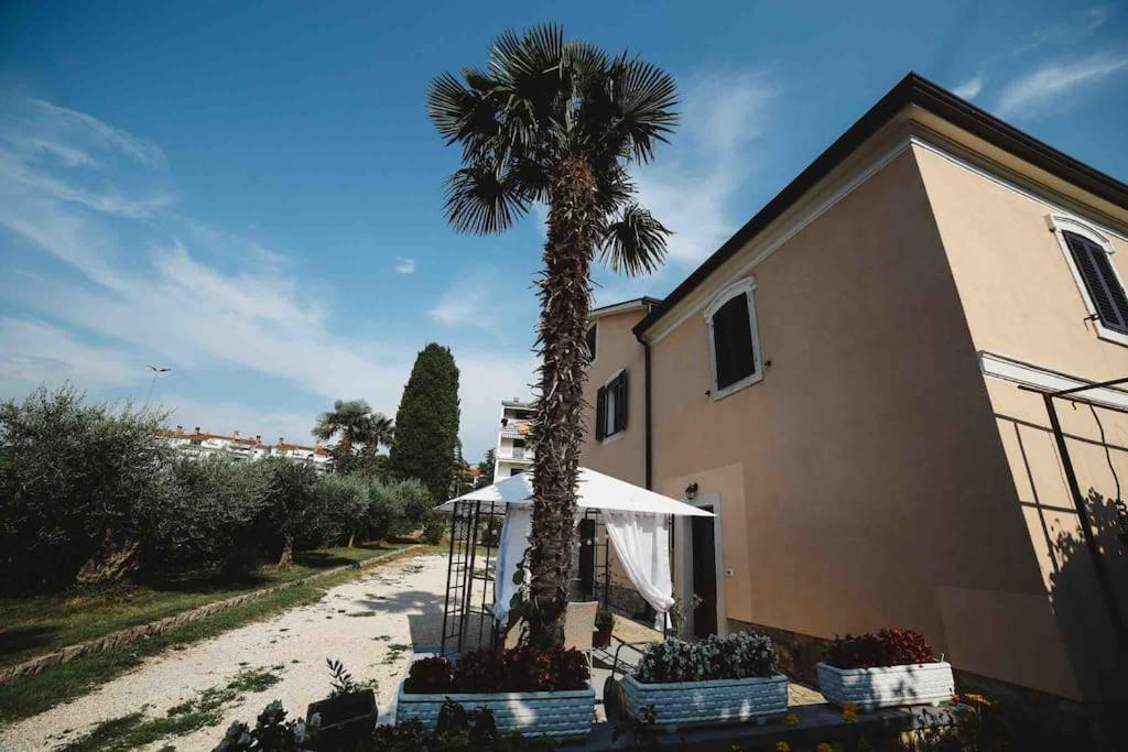 New Renovated Mauri *